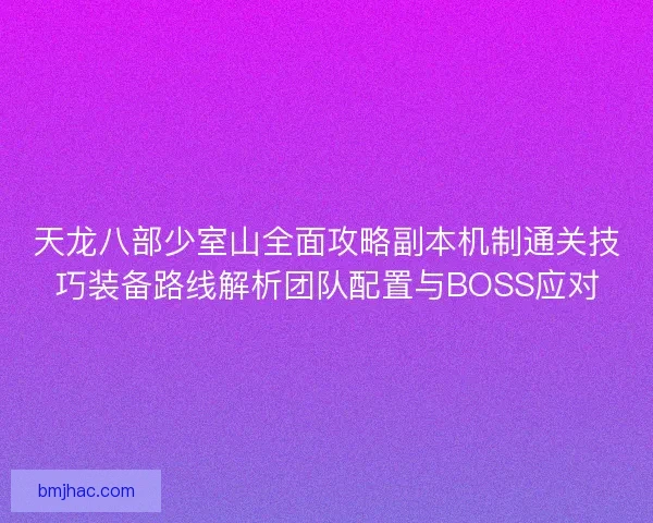 天龙八部少室山全面攻略副本机制通关技巧装备路线解析团队配置与BOSS应对